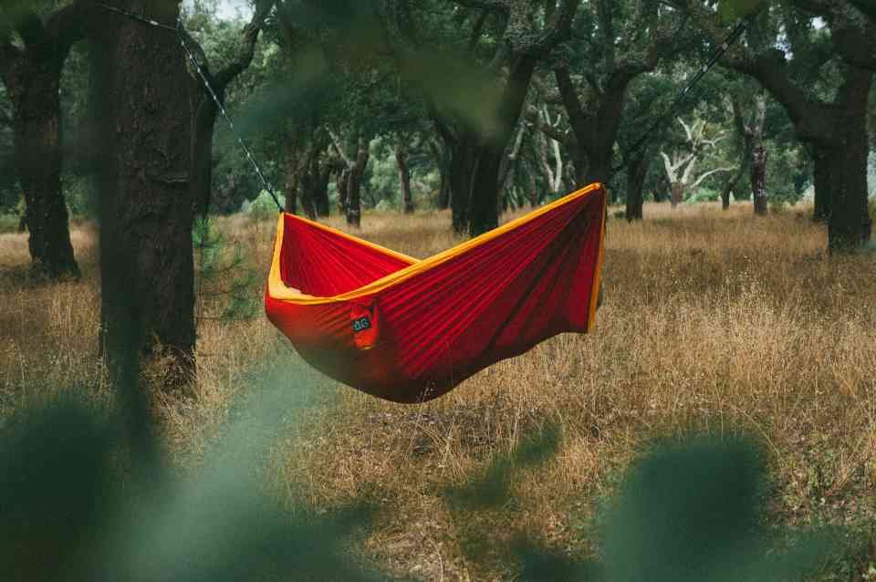 A hammock hanging between trees in windy weather.